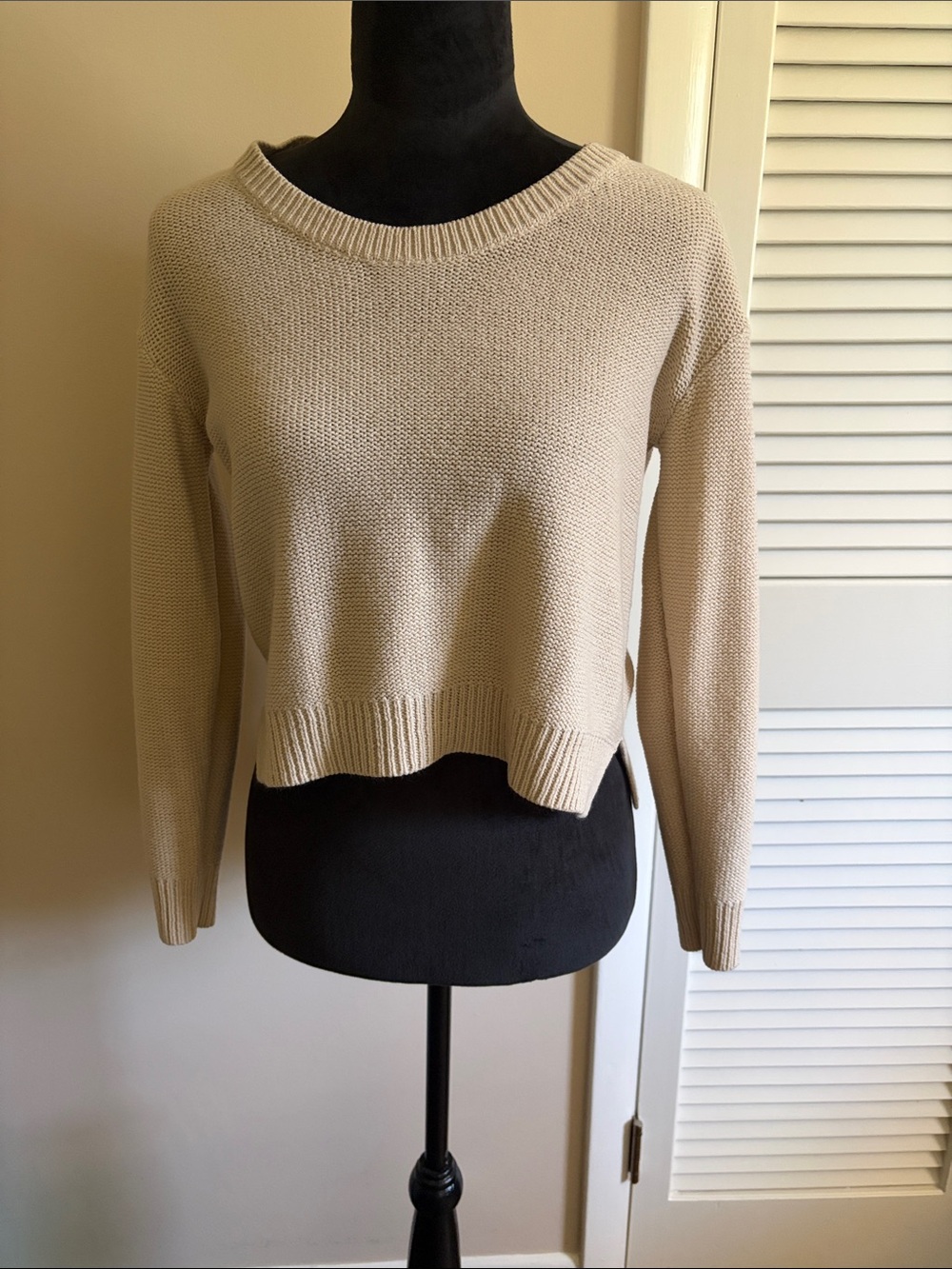H&M Beige Cropped Crewneck Sweater Size 4